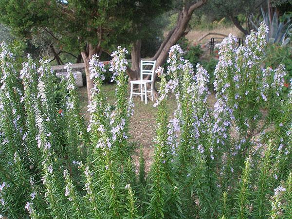 Image No.5-Propriété à vendre à Croatie