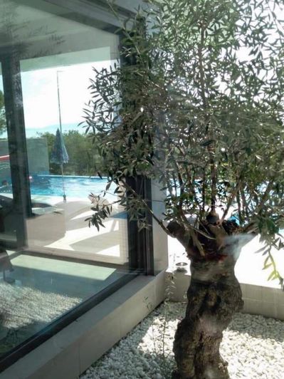 Image No.7-Propriété de 6 chambres à vendre à Kostrena