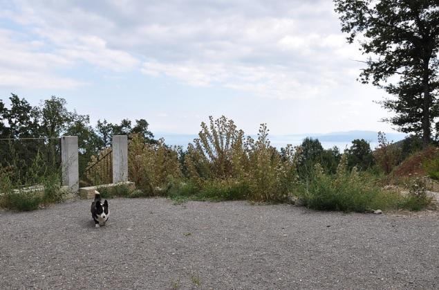 Image No.12-5 Bed Property for sale