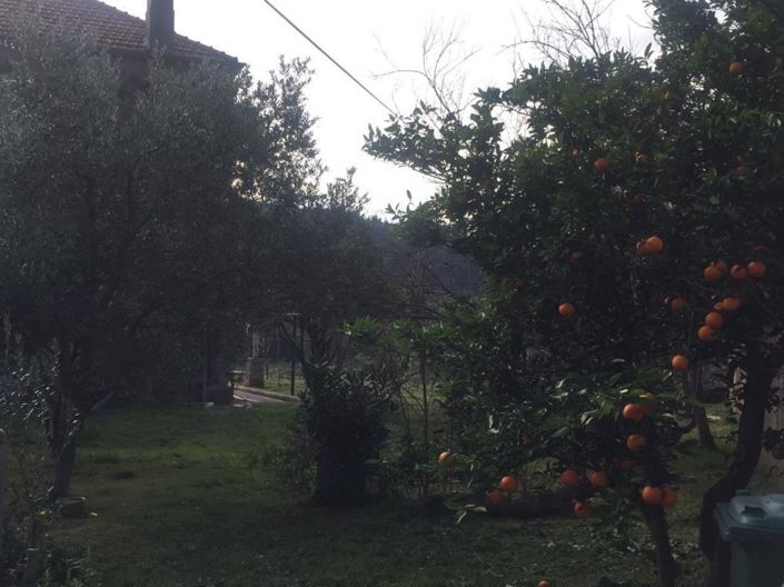 Image No.8-Propriété à vendre à Croatie