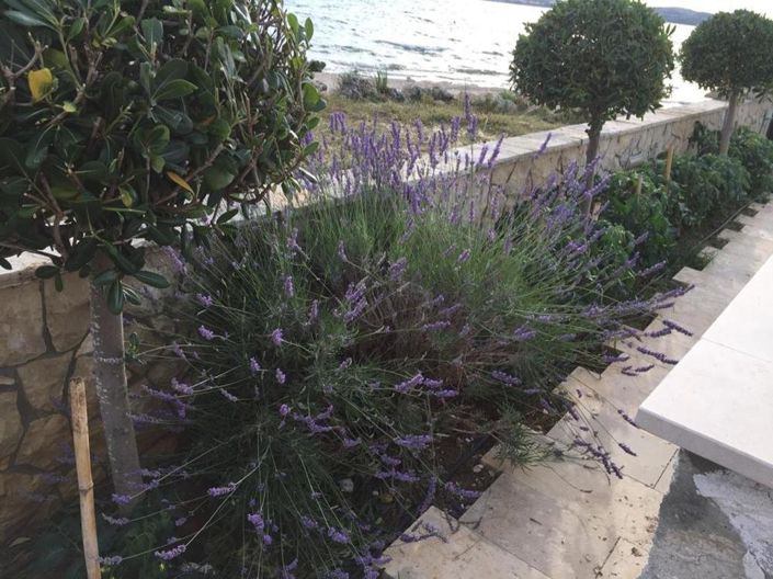 Image No.23-8 Bed Property for sale