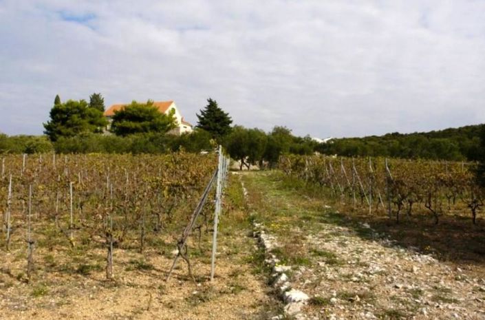 Image No.25-Property for sale