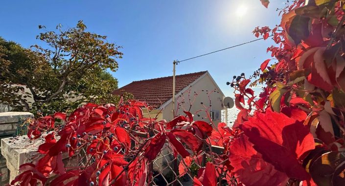 Image No.14-Property for sale