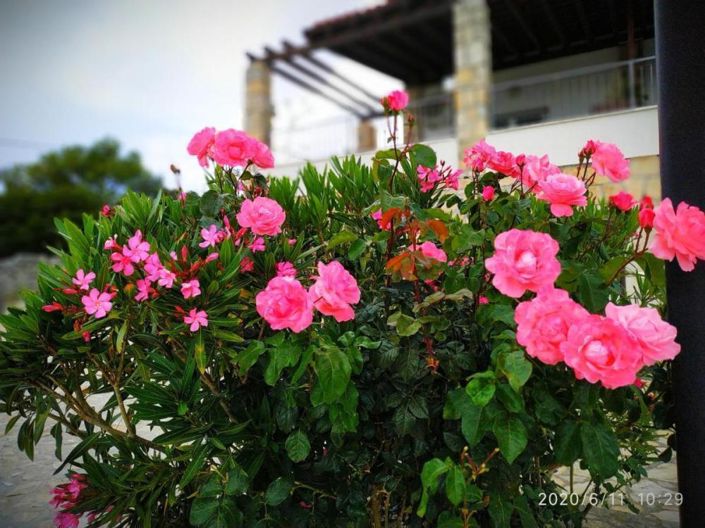 Image No.16-15 Bed Property for sale