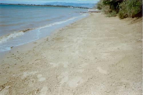 Image No.2-Propriété de 6 chambres à vendre à Croatie