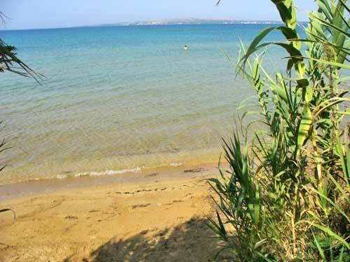 Image No.4-Propriété de 6 chambres à vendre à Croatie