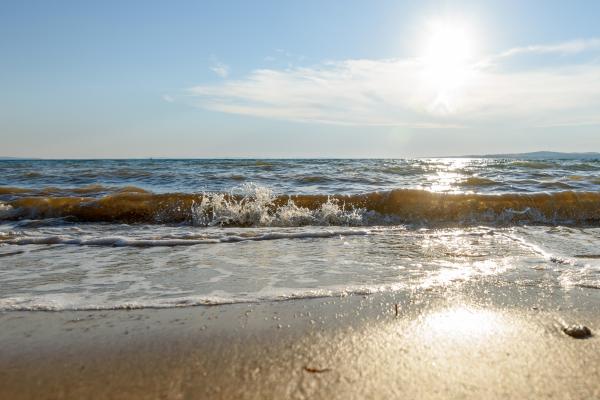 Image No.7-Propriété de 6 chambres à vendre à Croatie