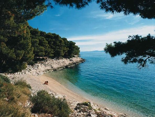 Image No.4-Propriété de 11 chambres à vendre à Croatie