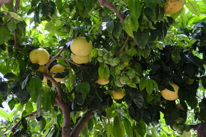 Image No.17-3 Bed Property for sale