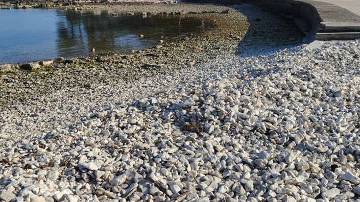 Image No.15-6 Bed Property for sale