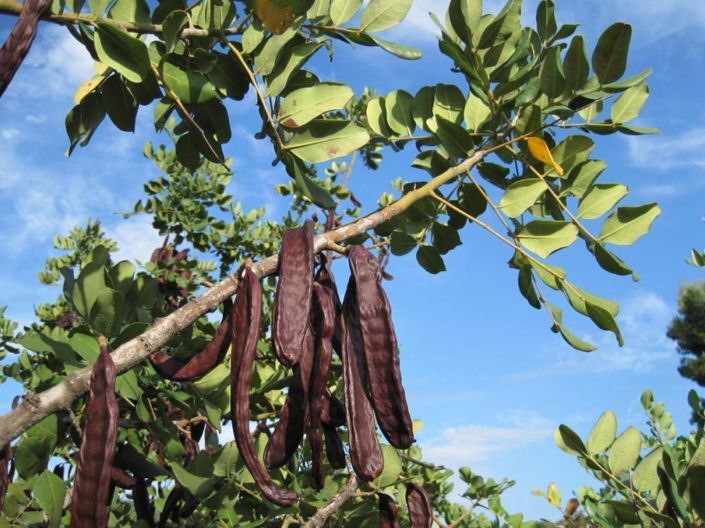 Image No.11-6 Bed Property for sale