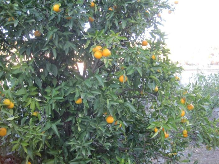 Image No.12-6 Bed Property for sale