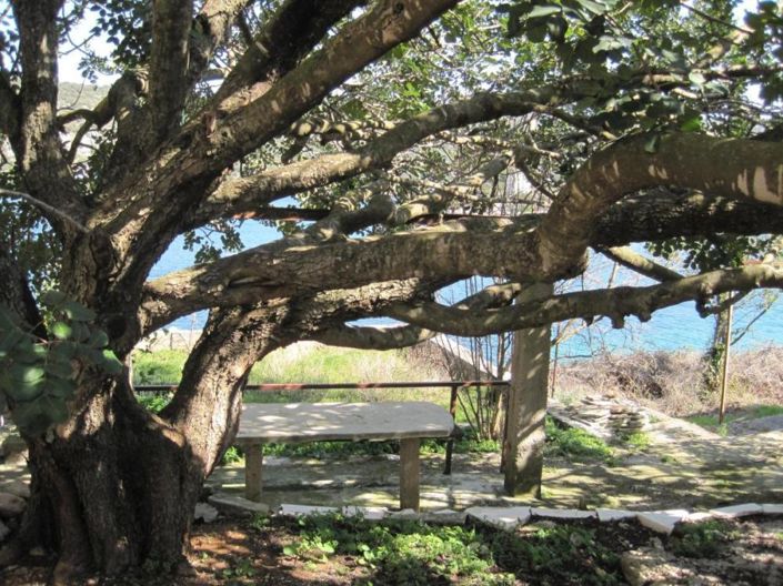 Image No.13-6 Bed Property for sale