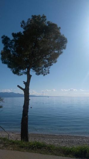 Image No.7-17 Bed Property for sale