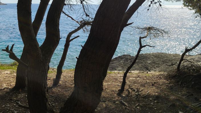 Image No.19-4 Bed Property for sale