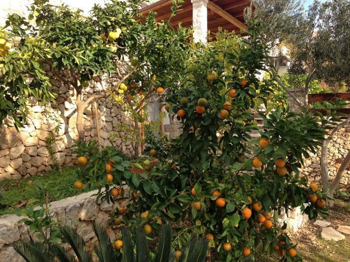 Image No.23-8 Bed Property for sale