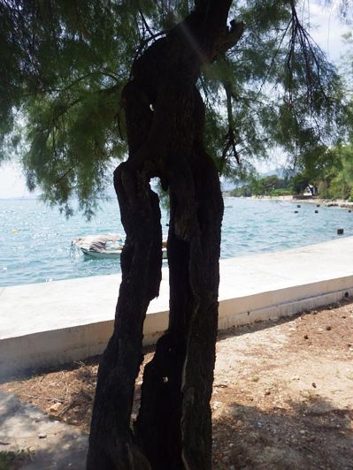 Image No.21-Propriété de 4 chambres à vendre à Croatie