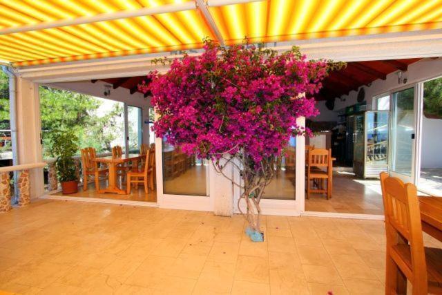 Image No.23-Property for sale