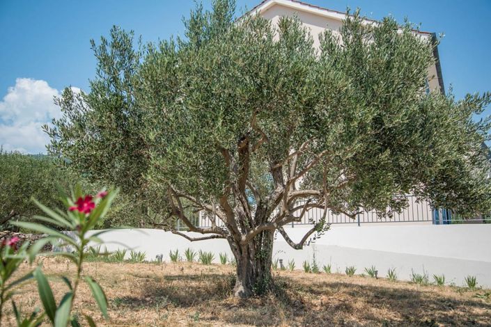 Image No.23-4 Bed Property for sale