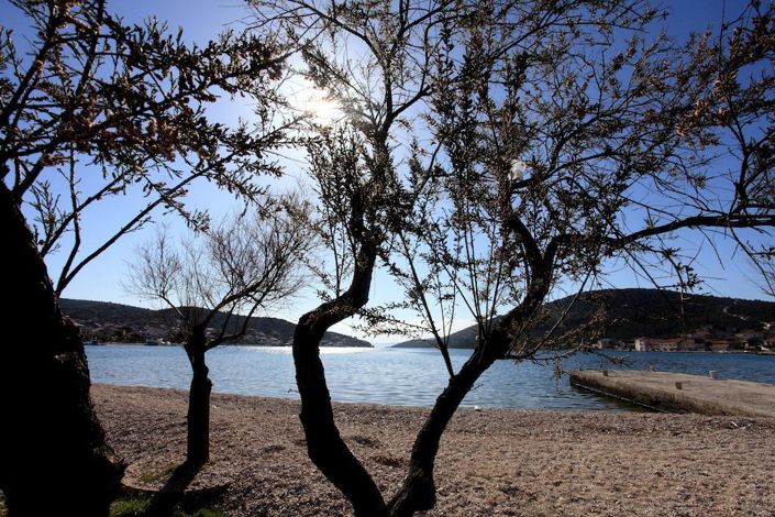 Image No.5-Propriété de 11 chambres à vendre à Croatie