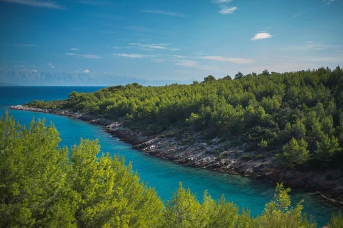 Image No.4-14 Bed Property for sale