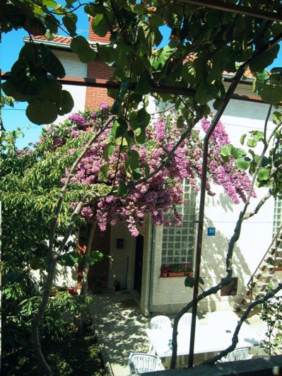 Image No.8-Propriété de 9 chambres à vendre à Ciovo