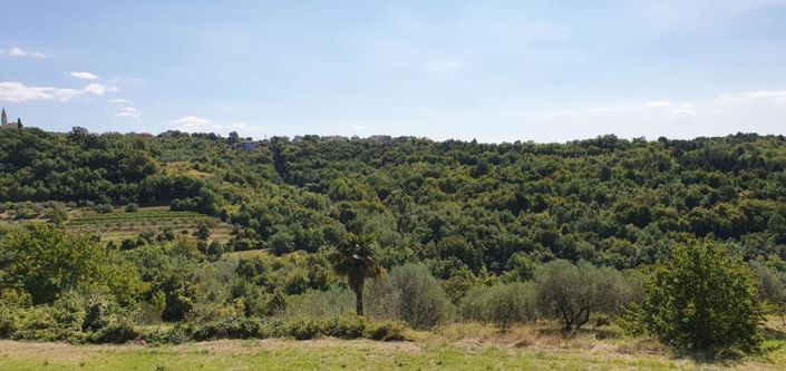 Image No.5-Propriété de 3 chambres à vendre à Croatie