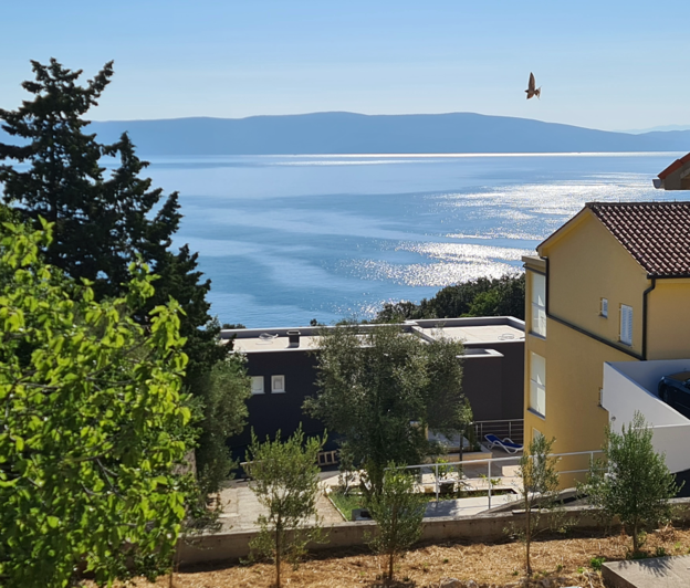 Image No.4-Propriété de 9 chambres à vendre à Croatie