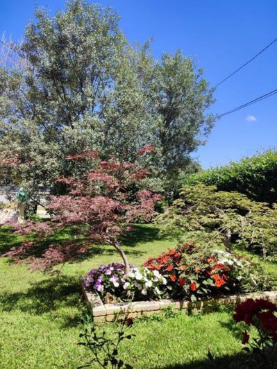 Image No.6-Property for sale