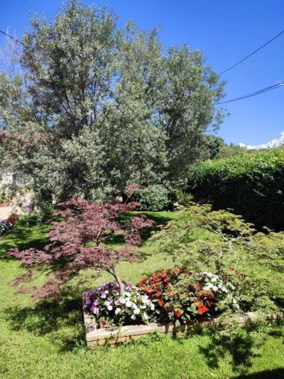 Image No.7-Property for sale