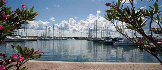 Image No.2-Propriété de 5 chambres à vendre à Umag