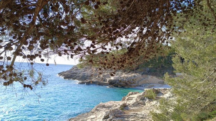 Image No.20-13 Bed Property for sale