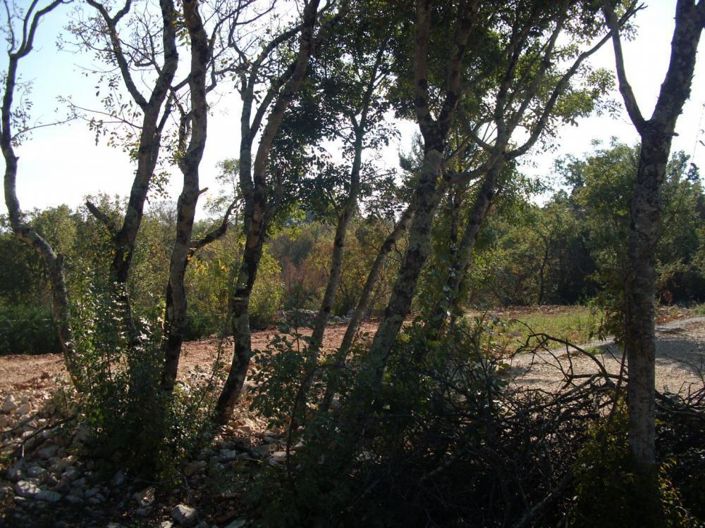 Image No.8-Propriété de 6 chambres à vendre à Croatie