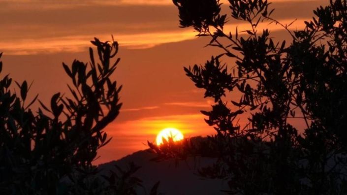 Image No.23-Propriété de 13 chambres à vendre à Višnjan