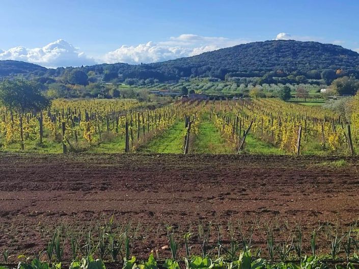 Image No.11-2 Bed Property for sale