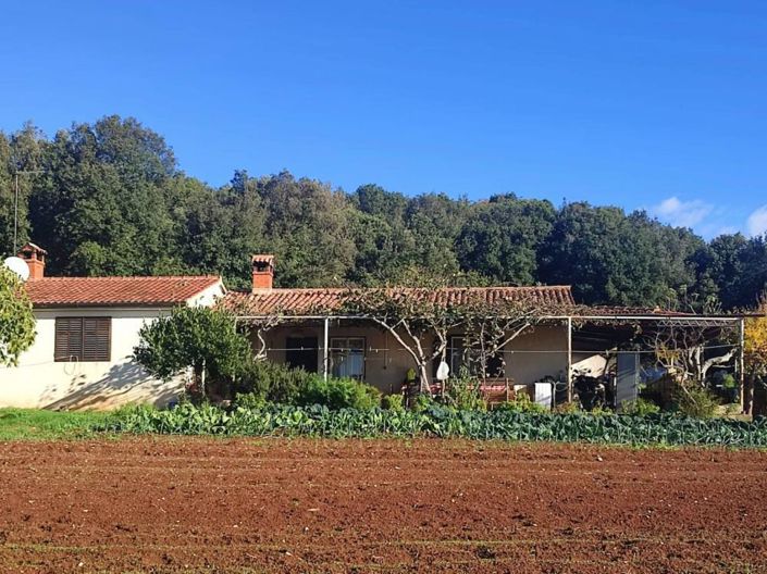 Image No.6-2 Bed Property for sale