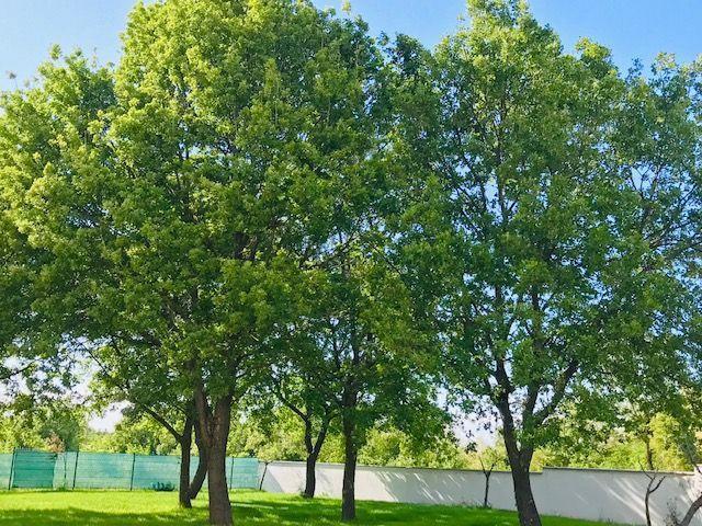 Image No.18-11 Bed Property for sale