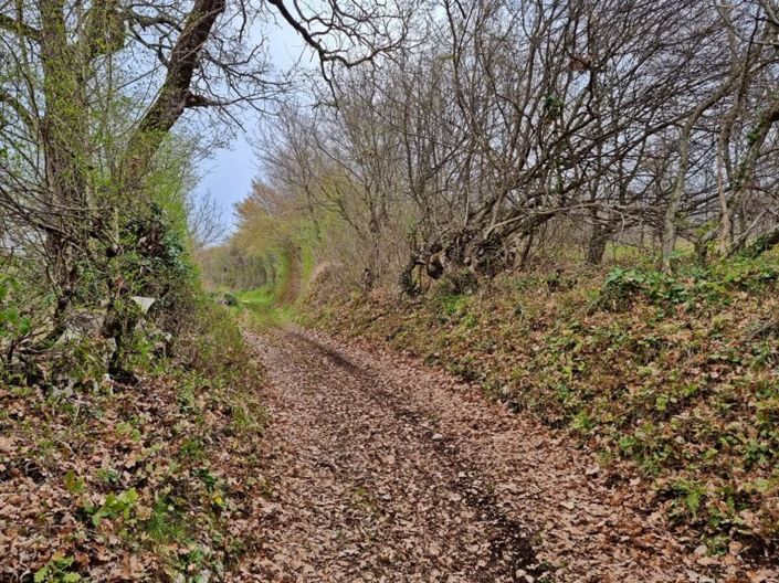 Image No.21-Property for sale