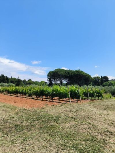 Image No.21-4 Bed Property for sale