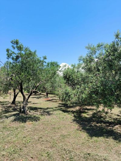 Image No.25-4 Bed Property for sale