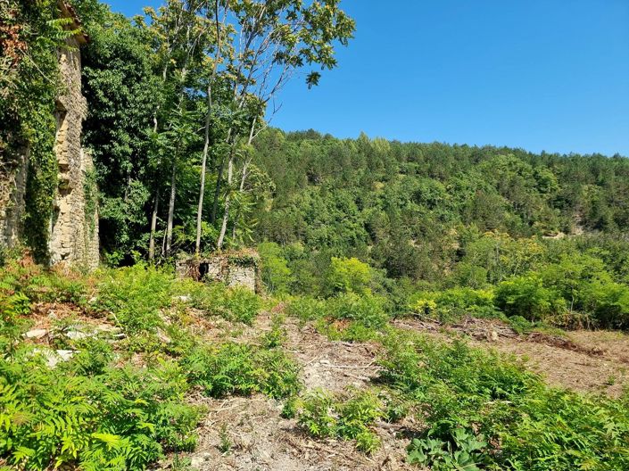 Image No.5-6 Bed Property for sale