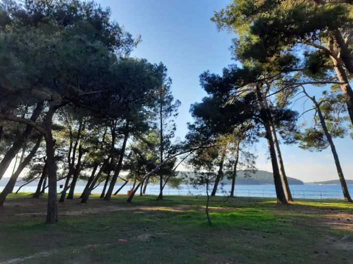 Image No.16-9 Bed Property for sale