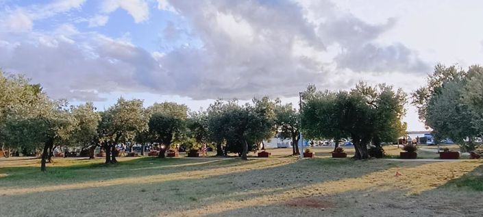 Image No.18-19 Bed Property for sale