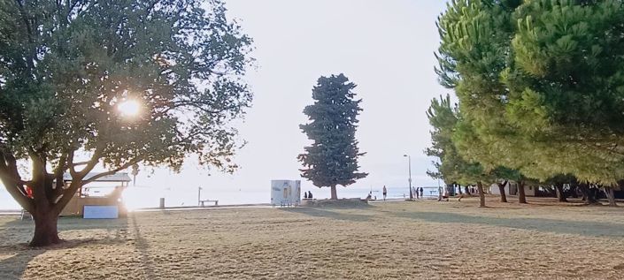 Image No.19-19 Bed Property for sale