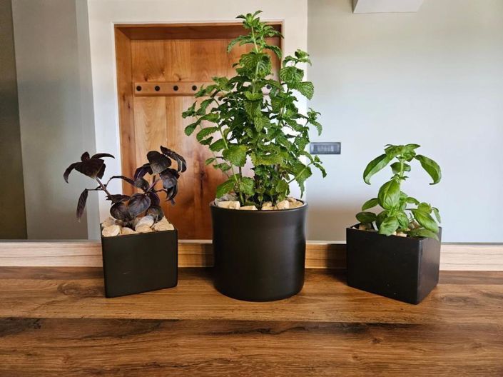 Image No.16-Propriété de 3 chambres à vendre à Croatie