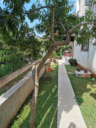 Image No.12-Propriété à vendre à Rovinj