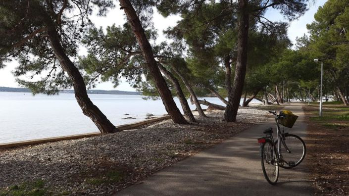 Image No.11-Propriété de 20 chambres à vendre à Pula