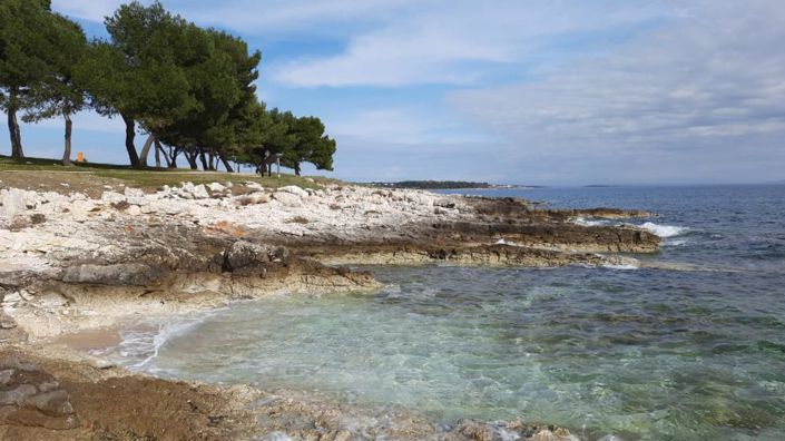 Image No.12-Propriété de 20 chambres à vendre à Pula