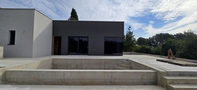 115902-501894