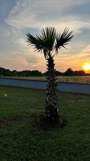 Image No.11-3 Bed Property for sale